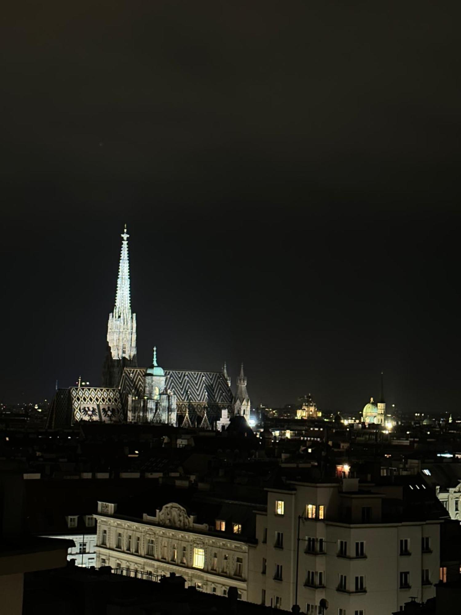 Center Apartment With 360° Rooftop Vienna Esterno foto